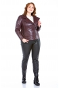 Женская кожаная куртка из натуральной кожи с воротником 8022725-6
