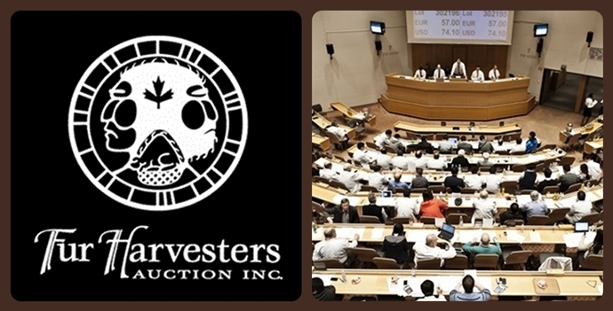 Пушной аукцион в Норс Бэй (Fur Harvesters Auction Inc. North Bay) Пушной аукцион в Норс Бэй (Fur Harvesters Auction Inc. North Bay)